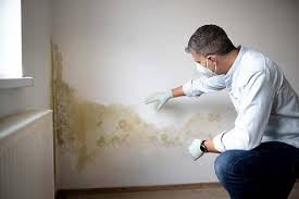 Best Mold Prevention Services  in Savannah, TX